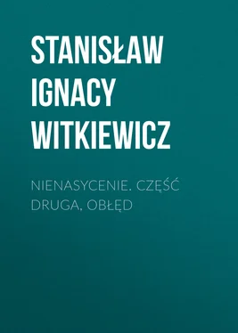 Stanisław Witkiewicz Nienasycenie. Część druga, Obłęd обложка книги