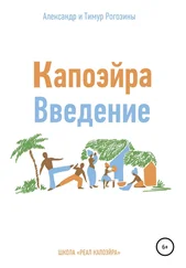 Александр Рогозин - Капоэйра. Введение