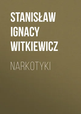 Stanisław Witkiewicz Narkotyki обложка книги