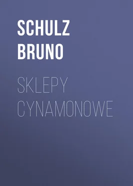Schulz Bruno Sklepy cynamonowe обложка книги