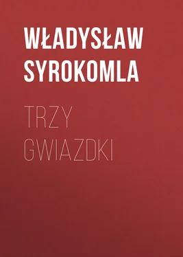Władysław Syrokomla Trzy gwiazdki обложка книги