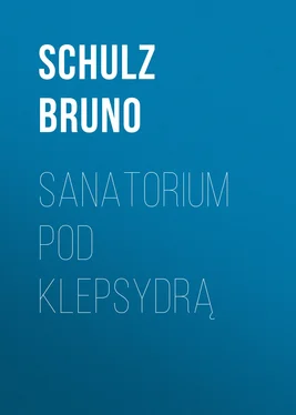 Schulz Bruno Sanatorium Pod Klepsydrą обложка книги