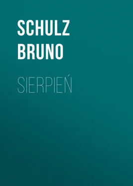 Schulz Bruno Sierpień обложка книги