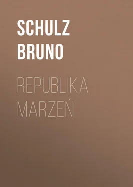 Schulz Bruno Republika marzeń обложка книги