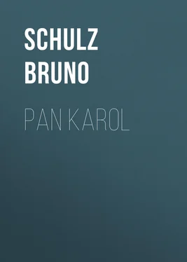 Schulz Bruno Pan Karol обложка книги