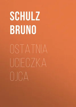 Schulz Bruno Ostatnia ucieczka ojca обложка книги