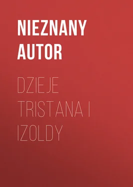 nieznany Autor Dzieje Tristana i Izoldy обложка книги