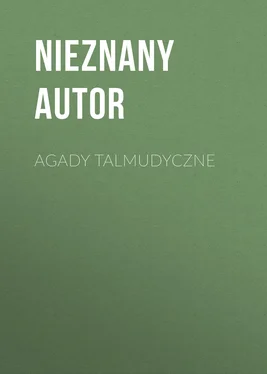 nieznany Autor Agady talmudyczne обложка книги