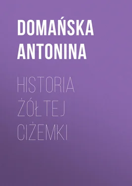Domańska Antonina Historia żółtej ciżemki обложка книги