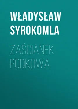 Władysław Syrokomla Zaścianek Podkowa обложка книги