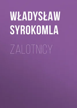 Władysław Syrokomla Zalotnicy обложка книги