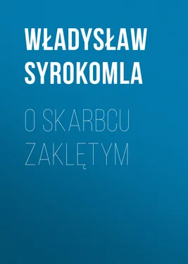 Władysław Syrokomla O skarbcu zaklętym обложка книги