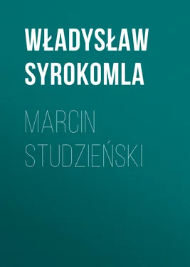 Władysław Syrokomla Marcin Studzieński обложка книги