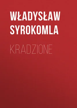 Władysław Syrokomla Kradzione обложка книги