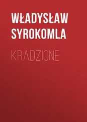 Władysław Syrokomla - Kradzione