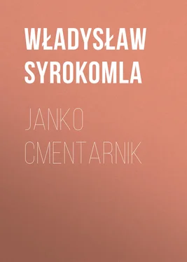 Władysław Syrokomla Janko Cmentarnik обложка книги