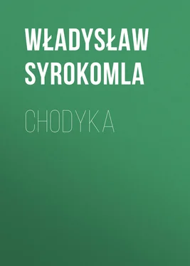 Władysław Syrokomla Chodyka обложка книги