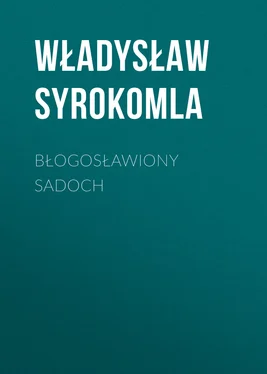 Władysław Syrokomla Błogosławiony Sadoch обложка книги