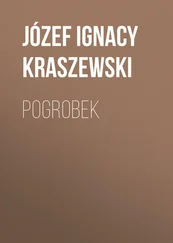 Józef Kraszewski - Pogrobek