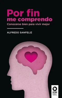 Alfredo Sanfeliz Mezquita Por fin me comprendo обложка книги