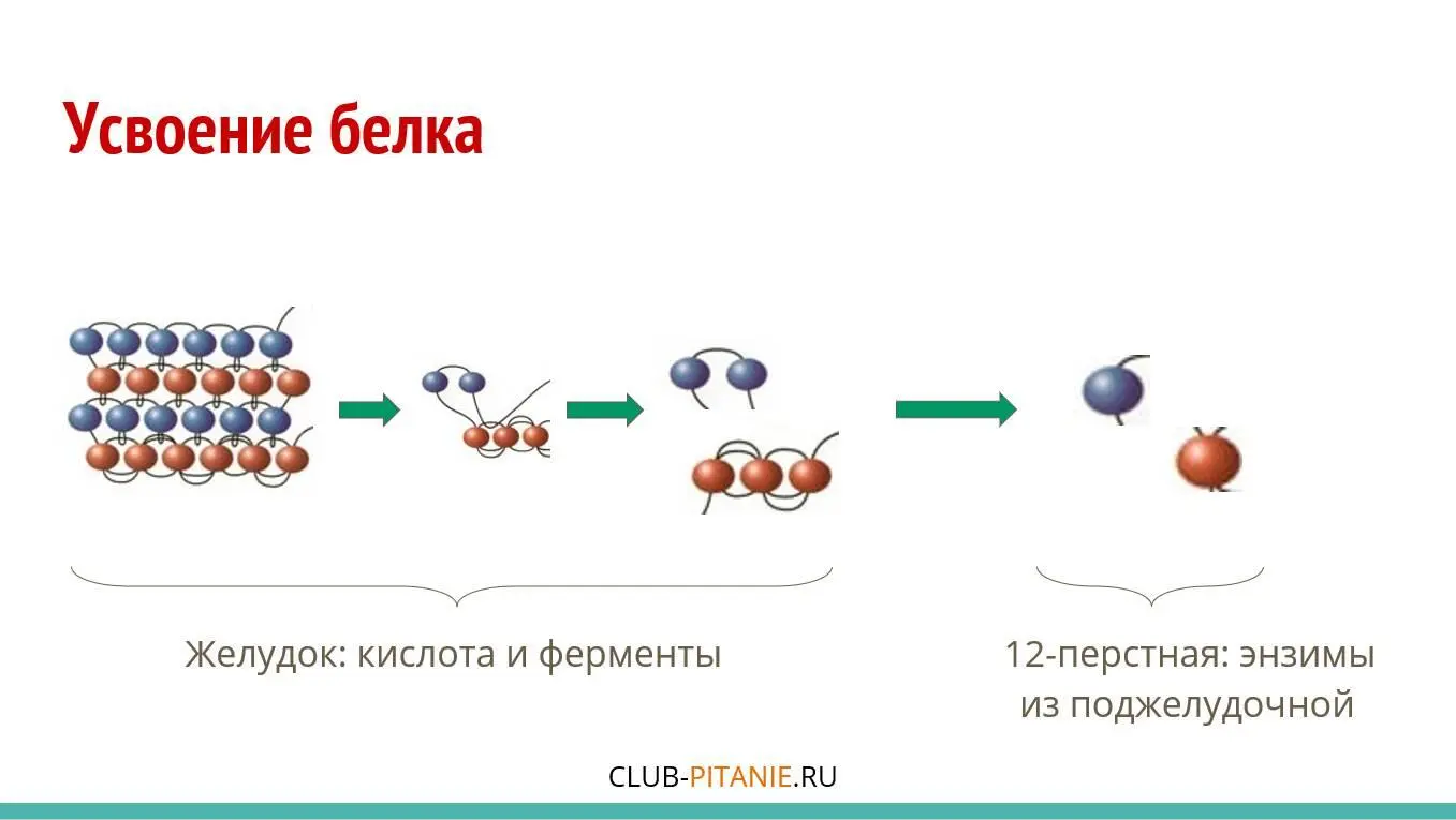 Конец ознакомительного фрагмента Текст предоставлен ООО ЛитРес Прочитайте - фото 17