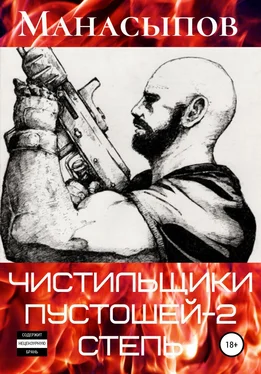 Дмитрий Манасыпов Чистильщики пустошей-2: Степь обложка книги