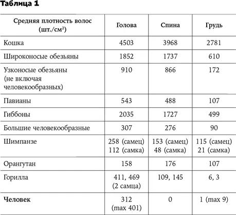 Но самый интересный вывод автора состоит в том что по густоте волос разница - фото 7