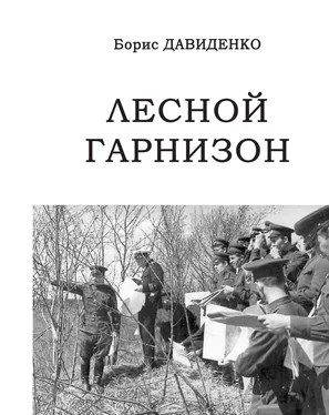 Борис Давиденко Лесной гарнизон обложка книги