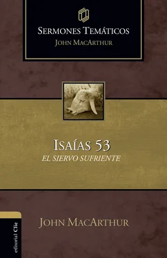 John MacArthur Sermones temáticos sobre Isaías 53 обложка книги
