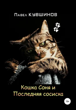 Павел Кувшинов Кошка Соня и Последняя сосиска обложка книги