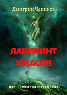 Дмитрий Чепиков Лабиринт ужасов обложка книги