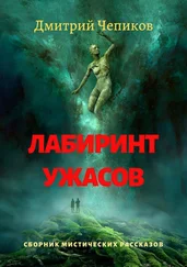 Дмитрий Чепиков - Лабиринт ужасов