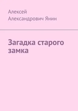 Алексей Янин Загадка старого замка обложка книги