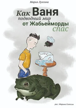 Мария Лузгина Как Ваня подводный мир от Жабьейморды спас обложка книги