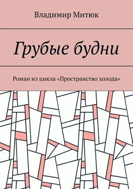 Владимир Митюк Грубые будни. Роман из цикла «Пространство холода»