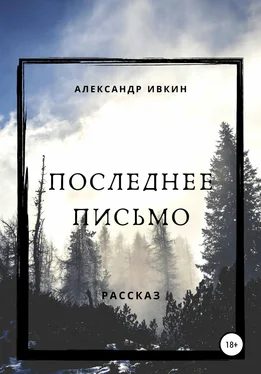 Александр Ивкин Последнее письмо обложка книги