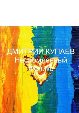 Дмитрий Купаев Несломленный Феникс обложка книги