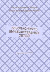 Иван Трещев - Безопасность вычислительных сетей. Практические аспекты