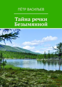 Пётр Васильев Тайна речки Безымянной обложка книги