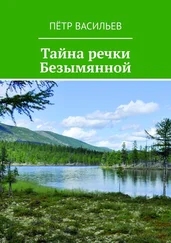 Пётр Васильев - Тайна речки Безымянной