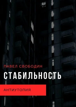 Павел Свободин Стабильность. Антиутопия обложка книги