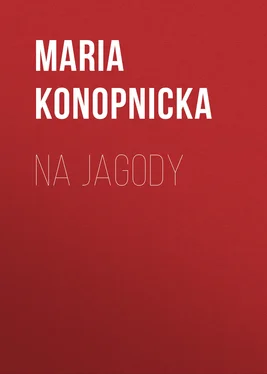 Maria Konopnicka Na jagody обложка книги