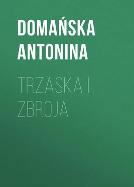 Domańska Antonina Trzaska i Zbroja обложка книги