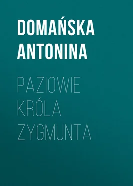 Domańska Antonina Paziowie króla Zygmunta обложка книги