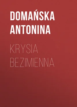 Domańska Antonina Krysia bezimienna обложка книги