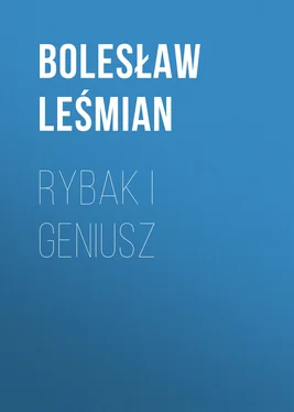 Bolesław Leśmian Rybak i geniusz обложка книги