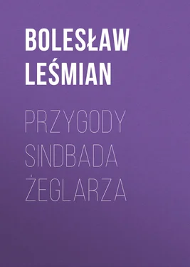 Bolesław Leśmian Przygody Sindbada żeglarza обложка книги