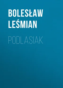 Bolesław Leśmian Podlasiak обложка книги