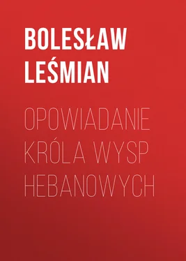 Bolesław Leśmian Opowiadanie Króla Wysp Hebanowych обложка книги