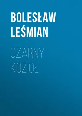 Bolesław Leśmian Czarny kozioł обложка книги